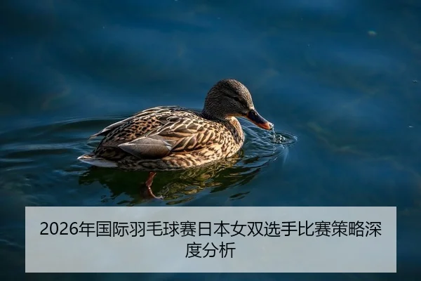 nian-guo-ji-yu-mao-qiu-sai-ri-ben-nv-shuang-xuan-shou-bi-sai-ce-lve-shen-du-fen-xi-2-149.jpg