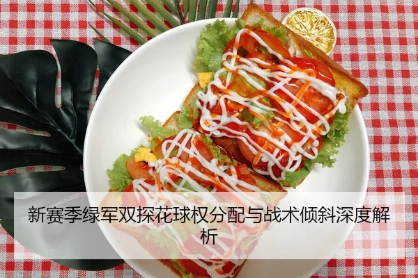 新赛季绿军双探花球权分配与战术倾斜深度解析