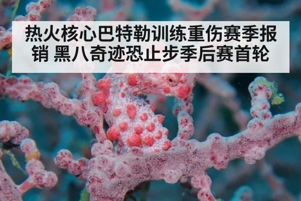 热火核心巴特勒训练重伤赛季报销 黑八奇迹恐止步季后赛首轮